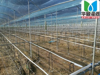 温室大棚地插滴箭应用