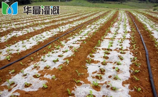 滴灌带施工安装注意事项