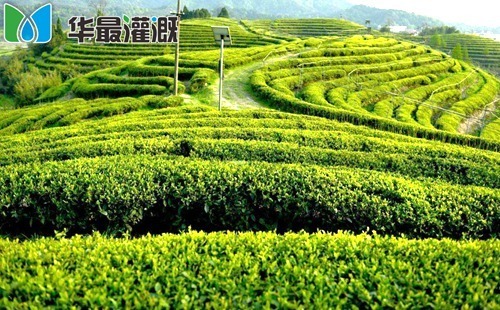 确定作物所需施肥总量