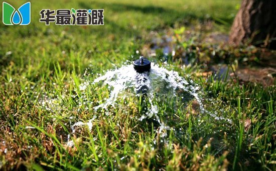 涌泉灌溉