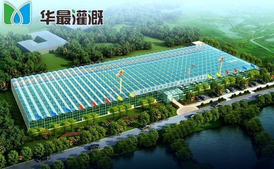 自动化灌溉系统