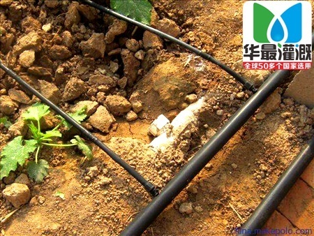 内镶式滴灌带