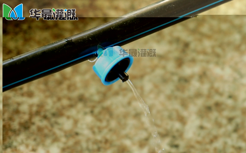 压力补偿滴头测试