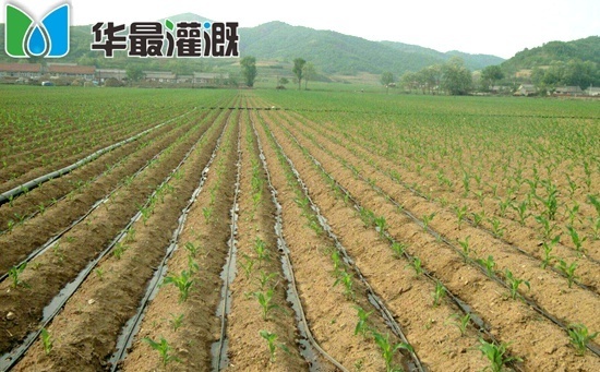 滴灌技术的几种模式