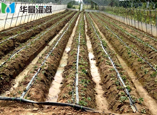 滴灌施肥