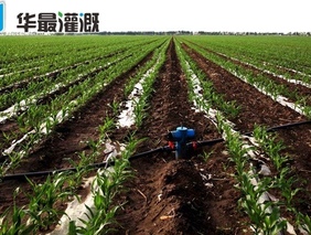 如何通过滴灌水溶肥的外包装来判断是否属于水溶肥
