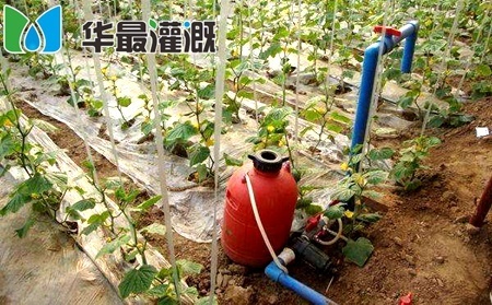 灌溉水溶肥施肥