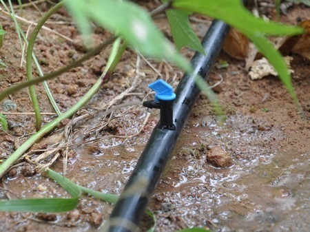节水灌溉工程