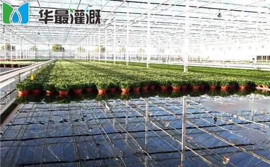 潮汐灌溉介绍