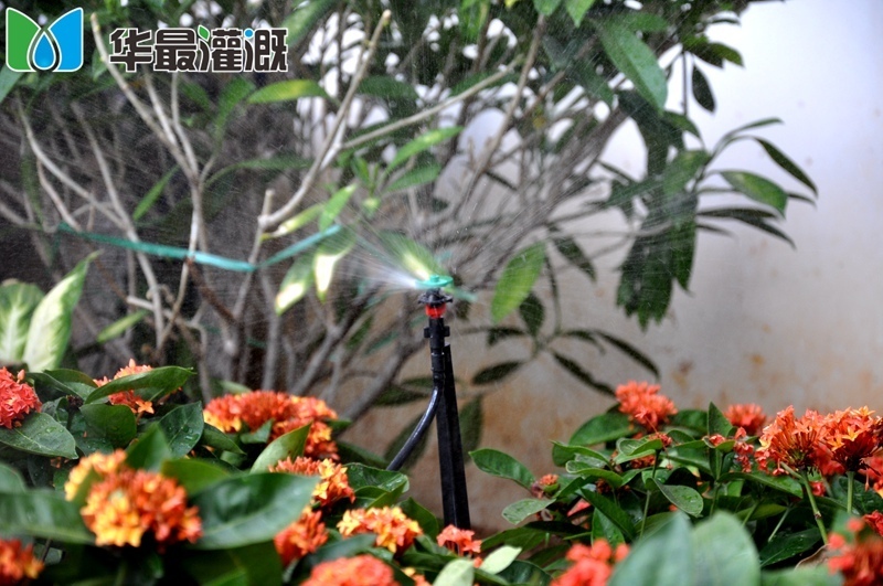 地插360度微喷头应用