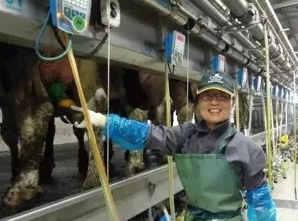 我国正在利用以色列的制度建立自己的乳制品行业
