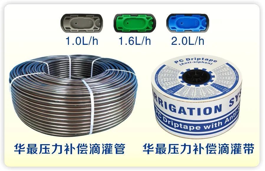 AG贵宾会压力补偿滴灌管