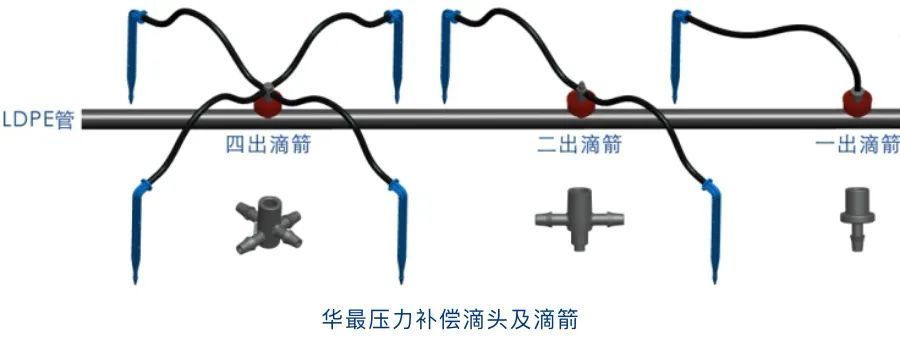 AG贵宾会压力补偿滴头及滴箭