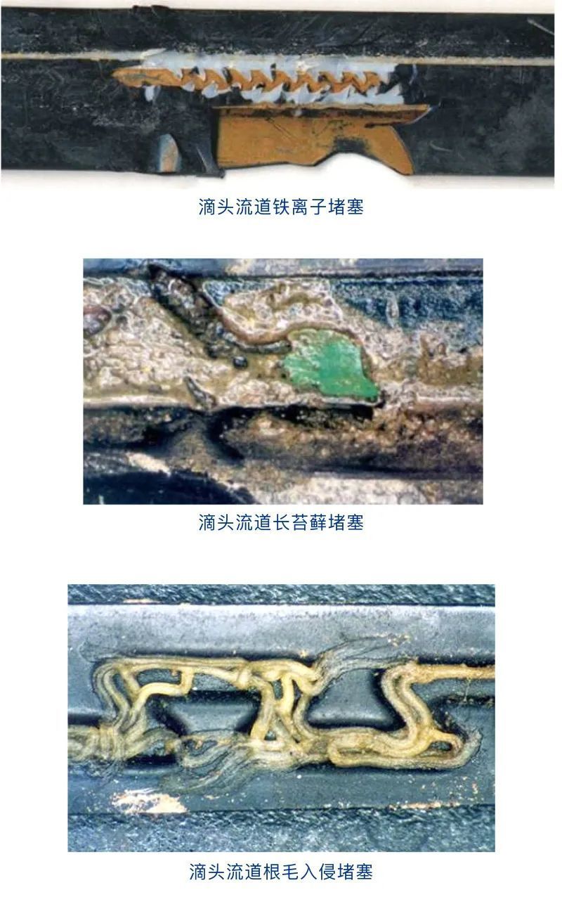 滴头堵塞的几种情况