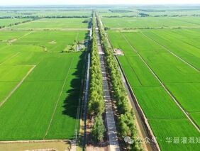 高效灌溉基本原理及其应用