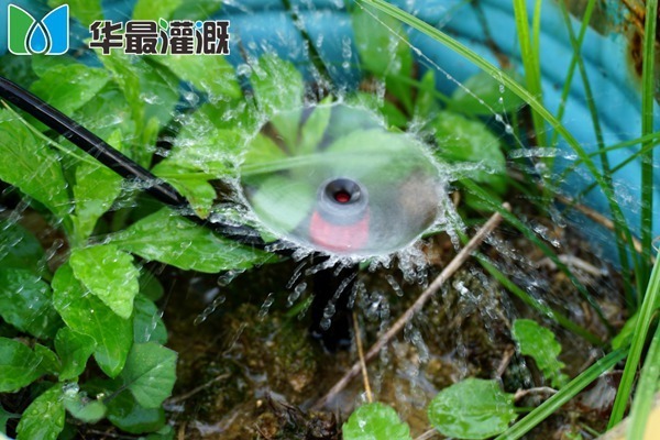 地插涡流喷头